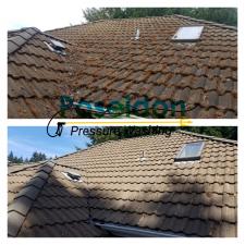 Gutter and Roof Cleaning in Olympia, WA